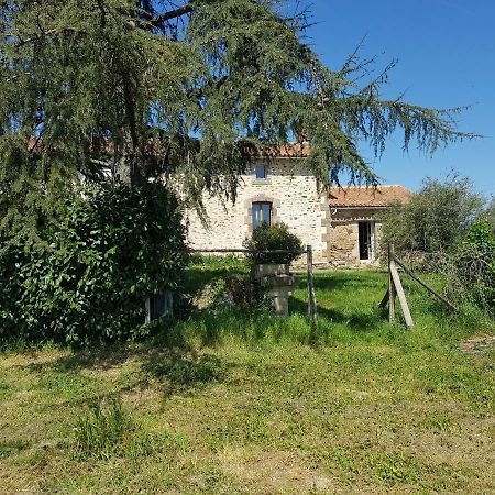 Вилла Le Beugnon La Pommeraie-sur-Sevre Экстерьер фото